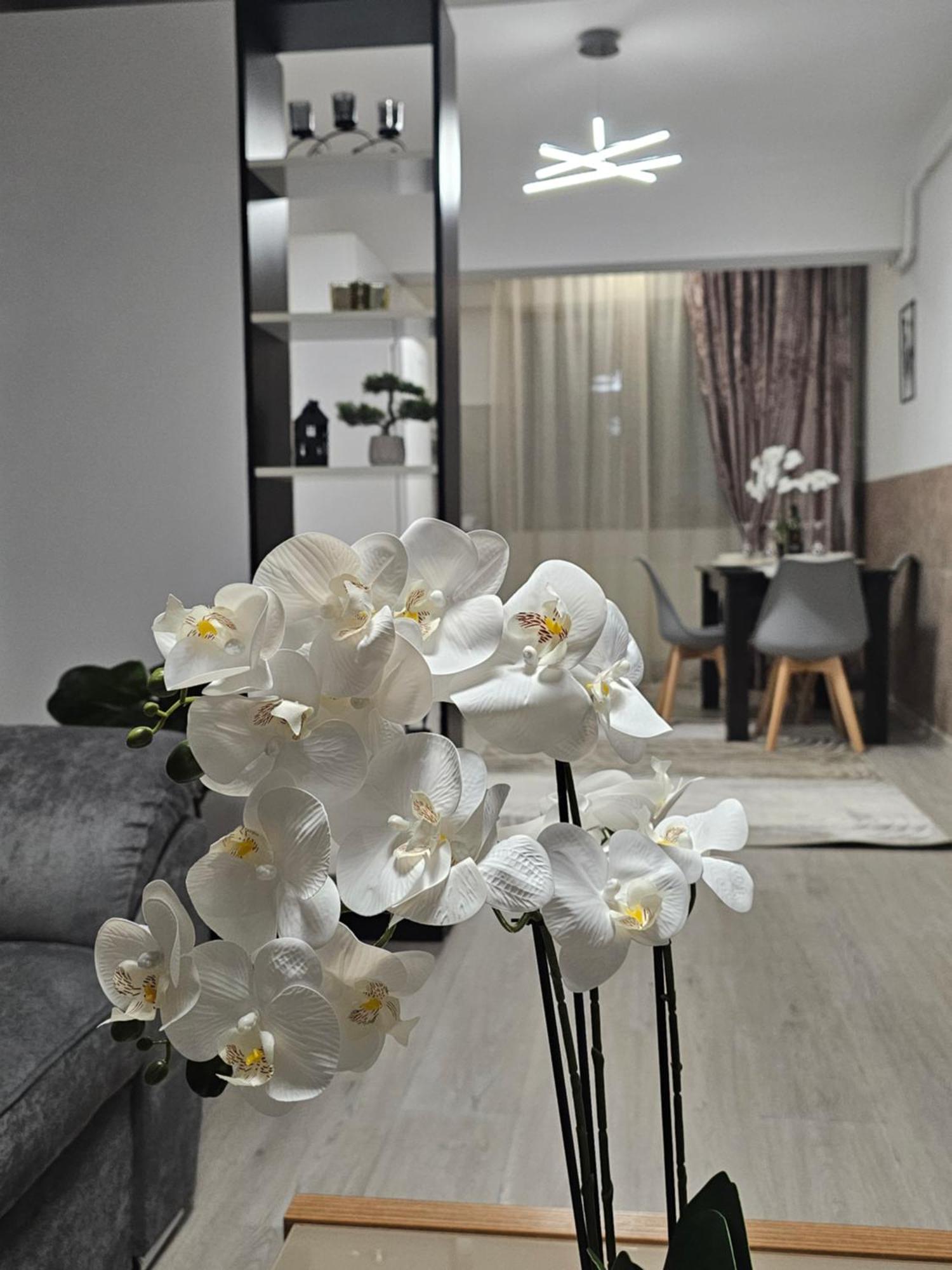 Enjoy My Home Near Palas Mall 2 Iasi Exterior foto